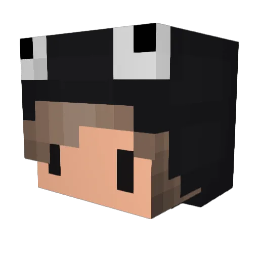 Baer_ Minecraft avatar head, 3D render