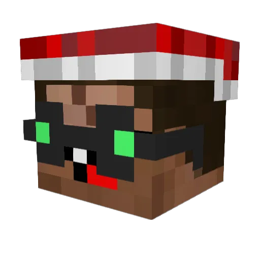 Baerchen2001 Minecraft avatar head, 3D render