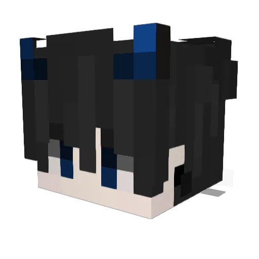 Baerkan Minecraft avatar head, 3D render