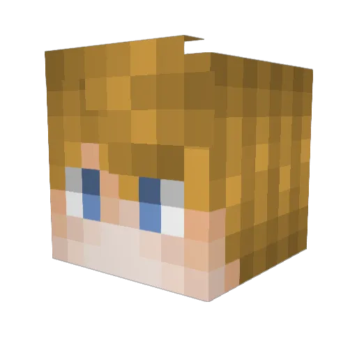 Baerschneider Minecraft avatar head, 3D render