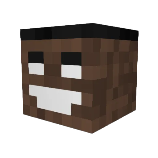 Baes20 Minecraft avatar head, 3D render