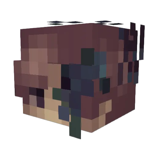 Baeyui Minecraft avatar head, 3D render