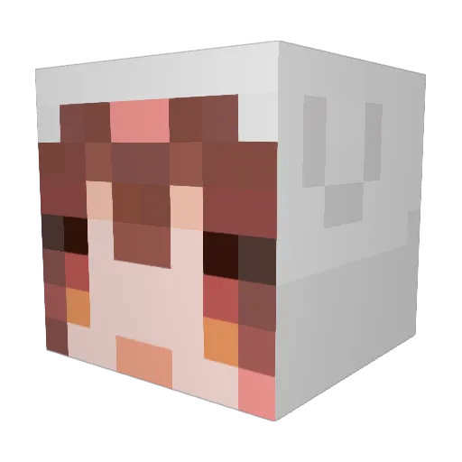 Bafang Minecraft avatar head, 3D render