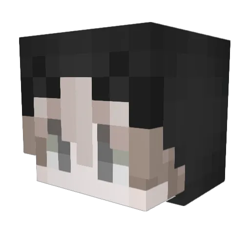 Bag Minecraft avatar head, 3D render