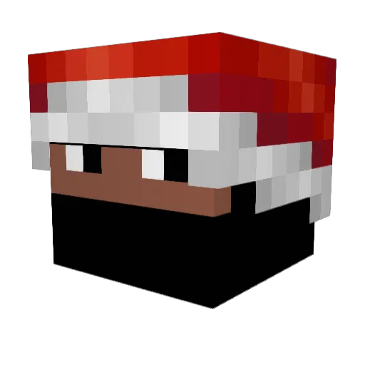 BagChasin Minecraft avatar head, 3D render