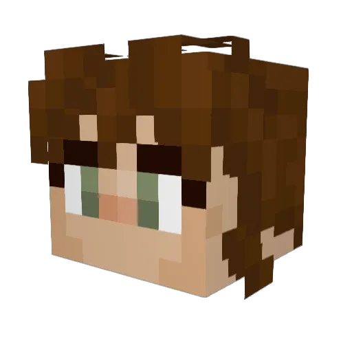 BagOfDorites Minecraft avatar head, 3D render