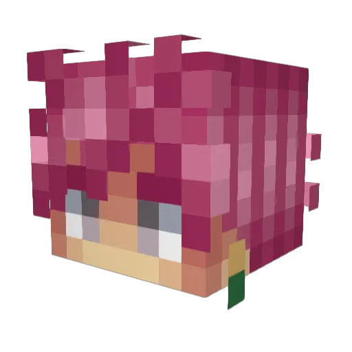 BagaBruh Minecraft avatar head, 3D render