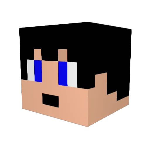 Bagady_Gamer Minecraft avatar head, 3D render