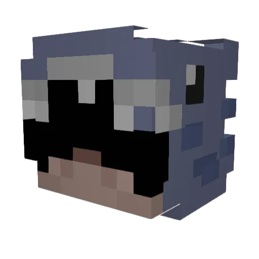 Bagapoo Minecraft avatar head, 3D render