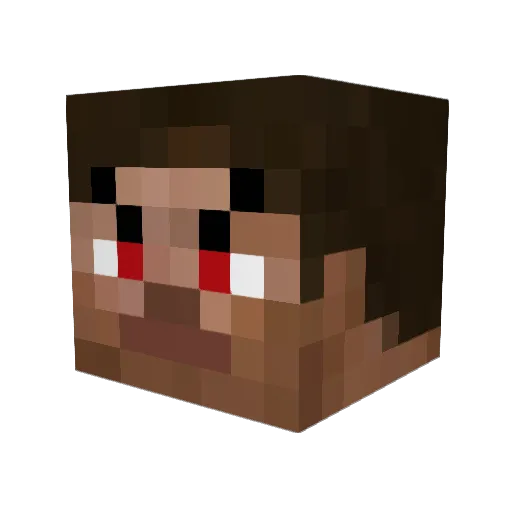 Bagbox13 Minecraft avatar head, 3D render