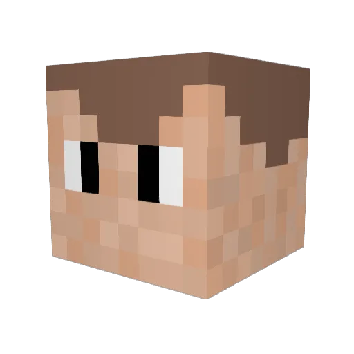 Bageelicious Minecraft avatar head, 3D render