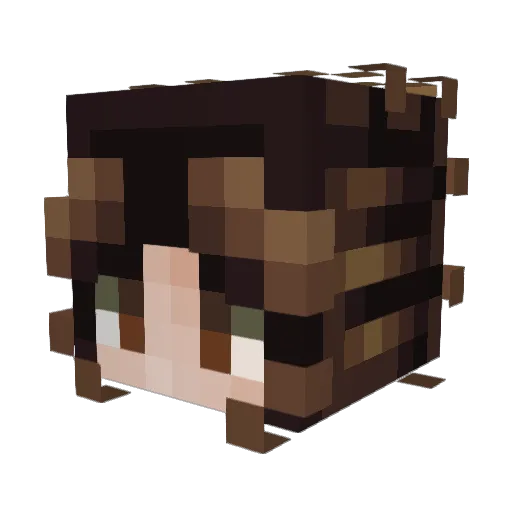 Bageera2008 Minecraft avatar head, 3D render