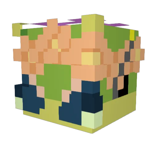 BagelBeeZ11 Minecraft avatar head, 3D render