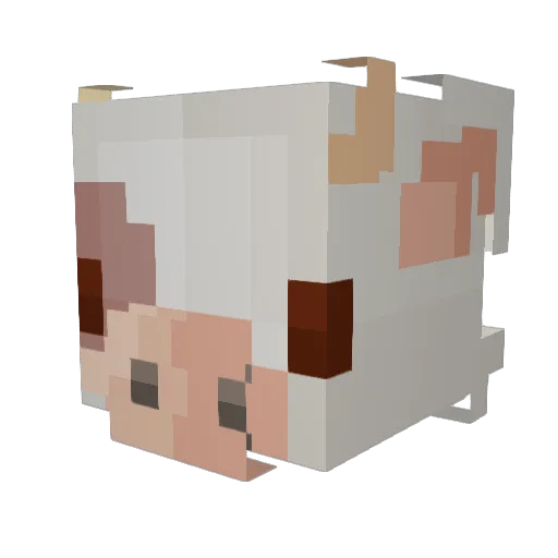 BagelBoy707 Minecraft avatar head, 3D render