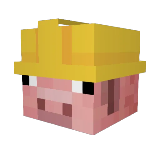 BagelBoy_Jr Minecraft avatar head, 3D render
