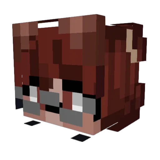 BagelCrow Minecraft avatar head, 3D render