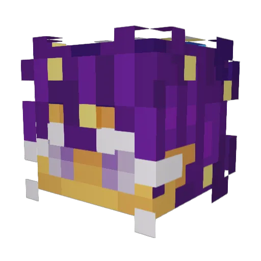 BagelNSyrup Minecraft avatar head, 3D render