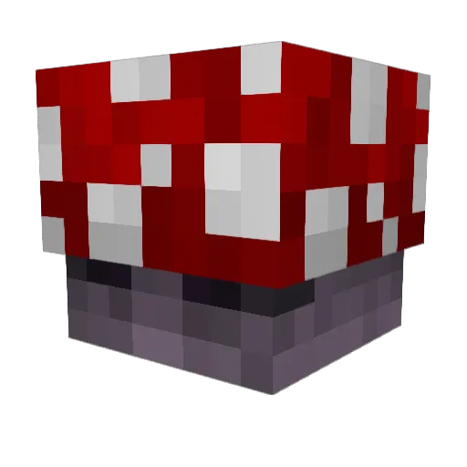 Bagel_Fish Minecraft avatar head, 3D render