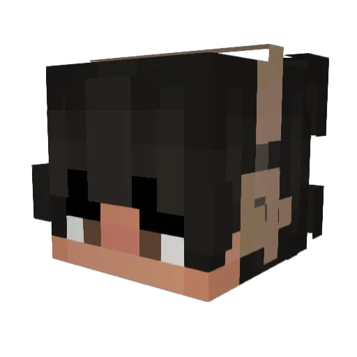Bagelaize Minecraft avatar head, 3D render