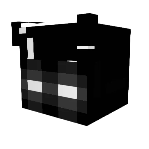 Bagelboyz1 Minecraft avatar head, 3D render