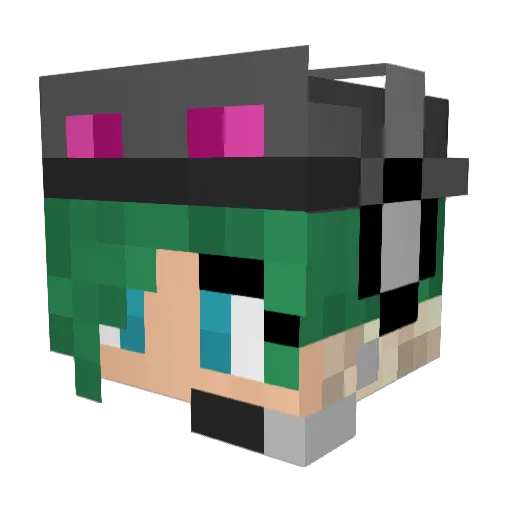 Bagels07 Minecraft avatar head, 3D render