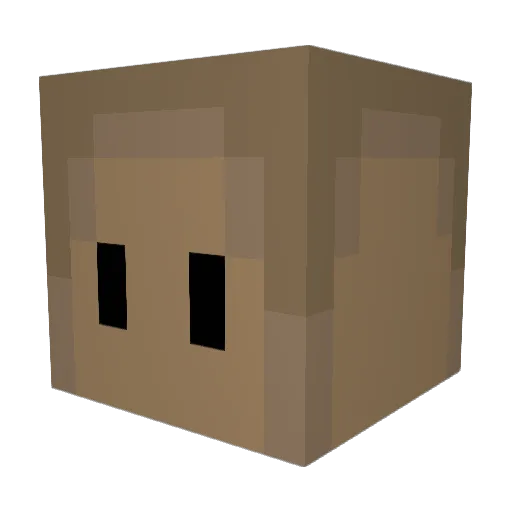 Baggedy Minecraft avatar head, 3D render