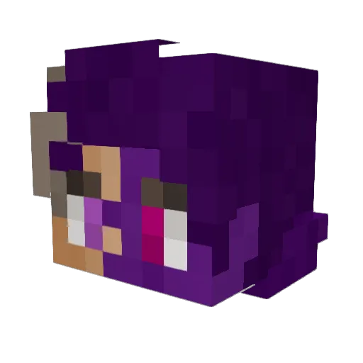 Baggers237 Minecraft avatar head, 3D render