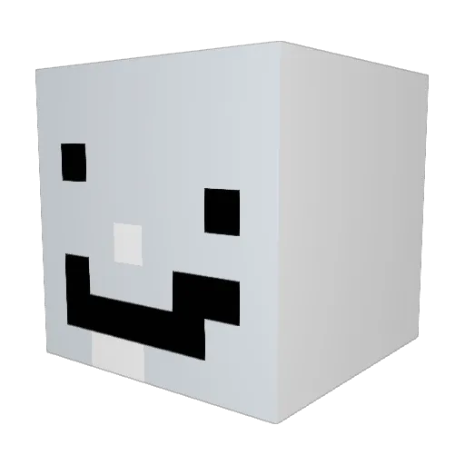 BaggoWaggo Minecraft avatar head, 3D render
