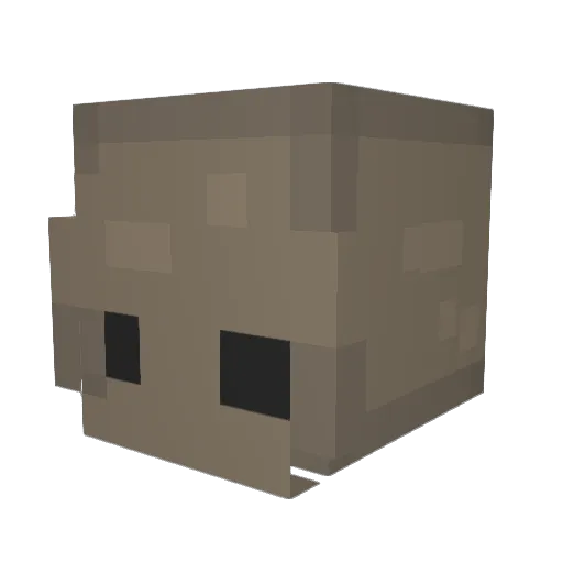 Baggsterr Minecraft avatar head, 3D render