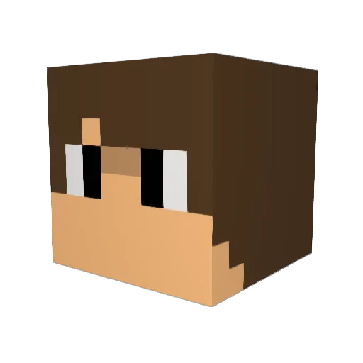 Bagheera2001 Minecraft avatar head, 3D render