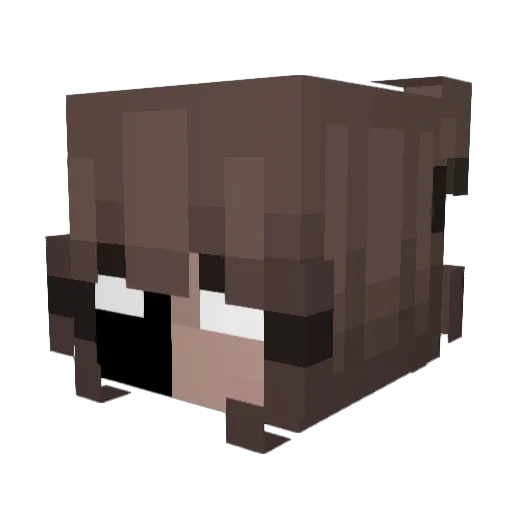 Bagheeroo Minecraft avatar head, 3D render