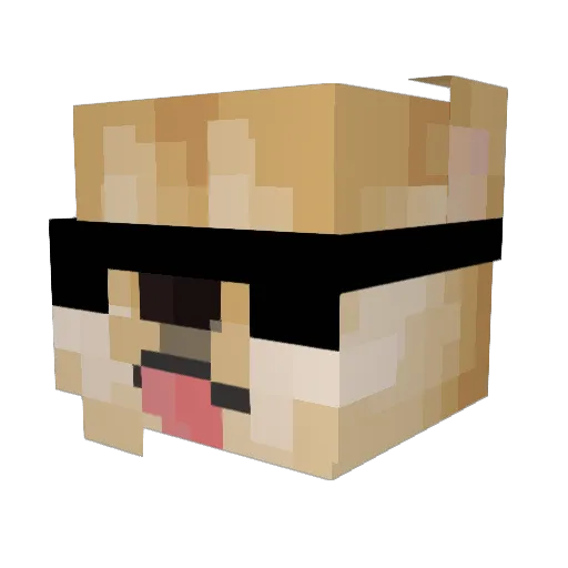 BaghiraWag Minecraft avatar head, 3D render