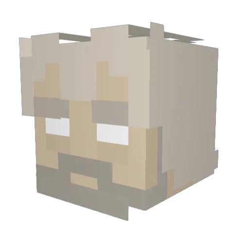 Bagingus Minecraft avatar head, 3D render