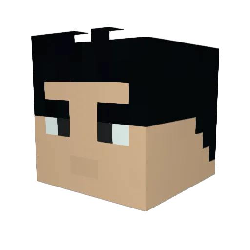 Bagmonke_yt Minecraft avatar head, 3D render