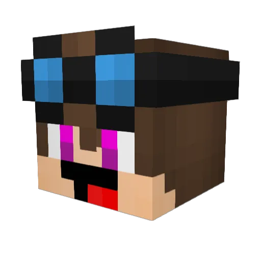 Bagre14 Minecraft avatar head, 3D render