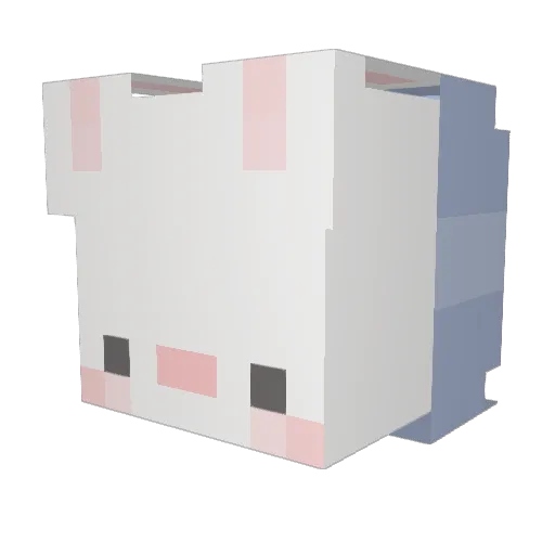 BagreFishCat Minecraft avatar head, 3D render
