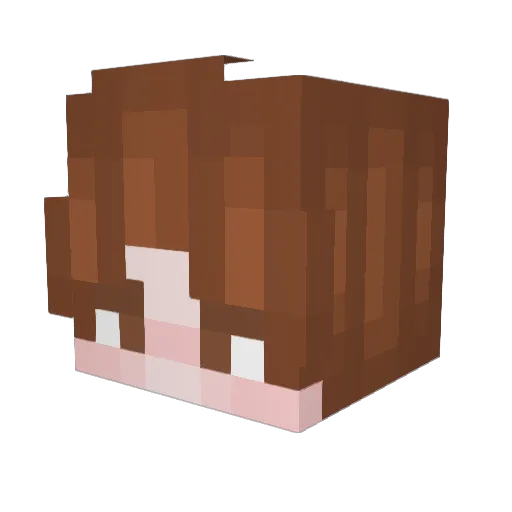 Bagrixgg Minecraft avatar head, 3D render