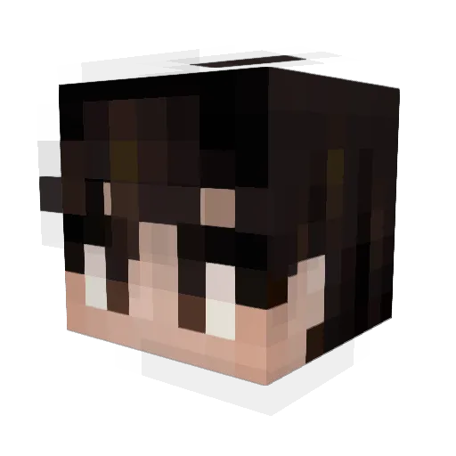 BagsMain Minecraft avatar head, 3D render