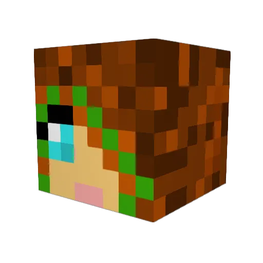 Baguette_Ente Minecraft avatar head, 3D render
