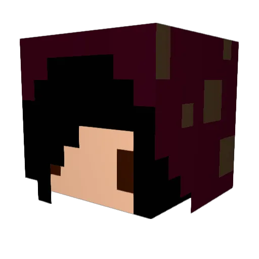 Baguetteforget Minecraft avatar head, 3D render