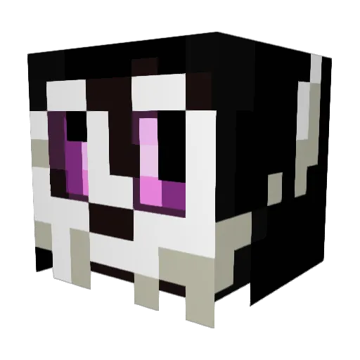 Baguira Minecraft avatar head, 3D render