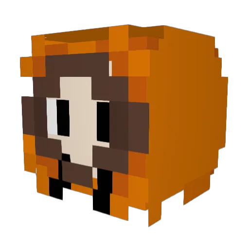 Bagz_YT Minecraft avatar head, 3D render