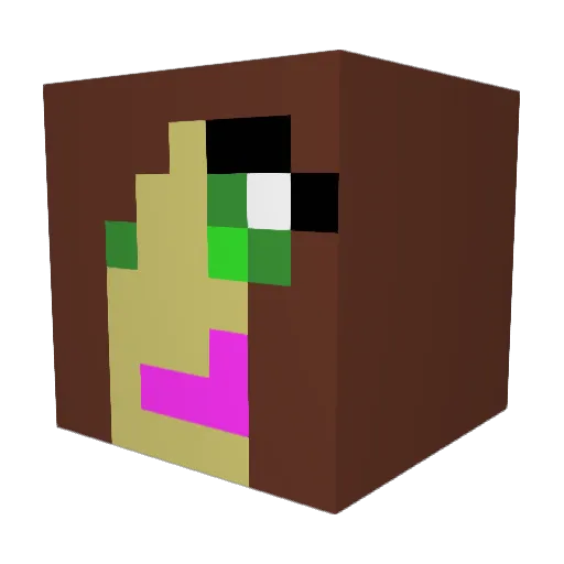 BaharThePenguin Minecraft avatar head, 3D render