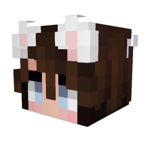 Bahmss Minecraft avatar head, 3D render
