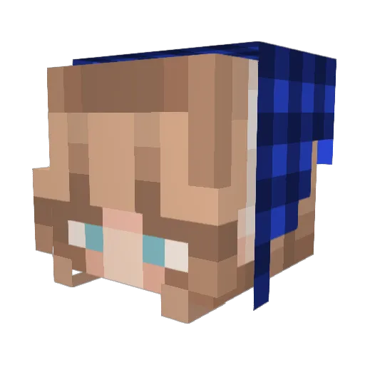 Bahpags Minecraft avatar head, 3D render