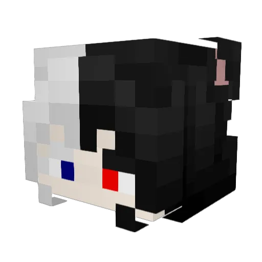 Bai_StarFox Minecraft avatar head, 3D render