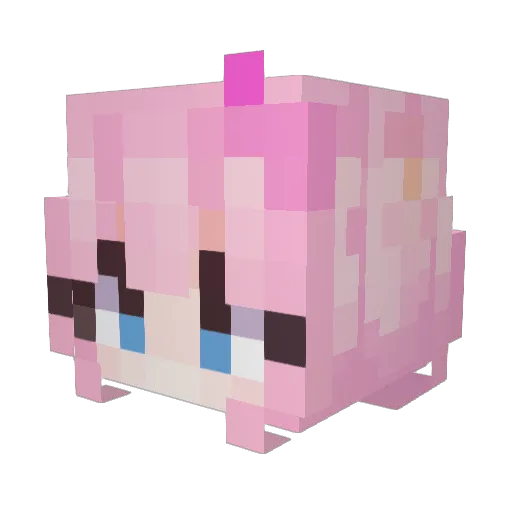 Bai_ze2333 Minecraft avatar head, 3D render