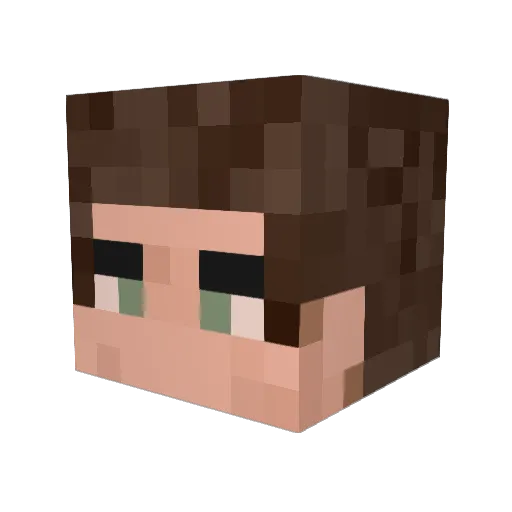 Baiam6301 Minecraft avatar head, 3D render