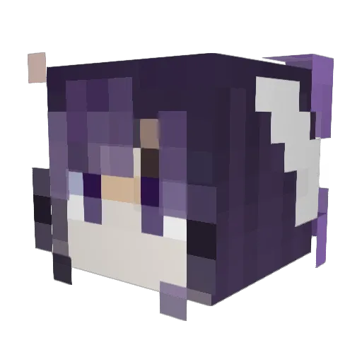 Baidi2020 Minecraft avatar head, 3D render