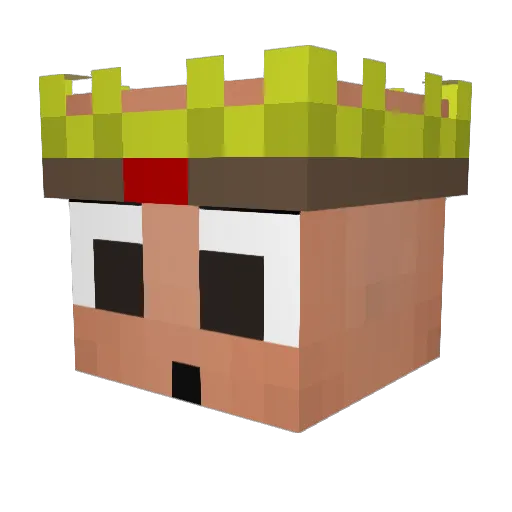 Baiit Minecraft avatar head, 3D render